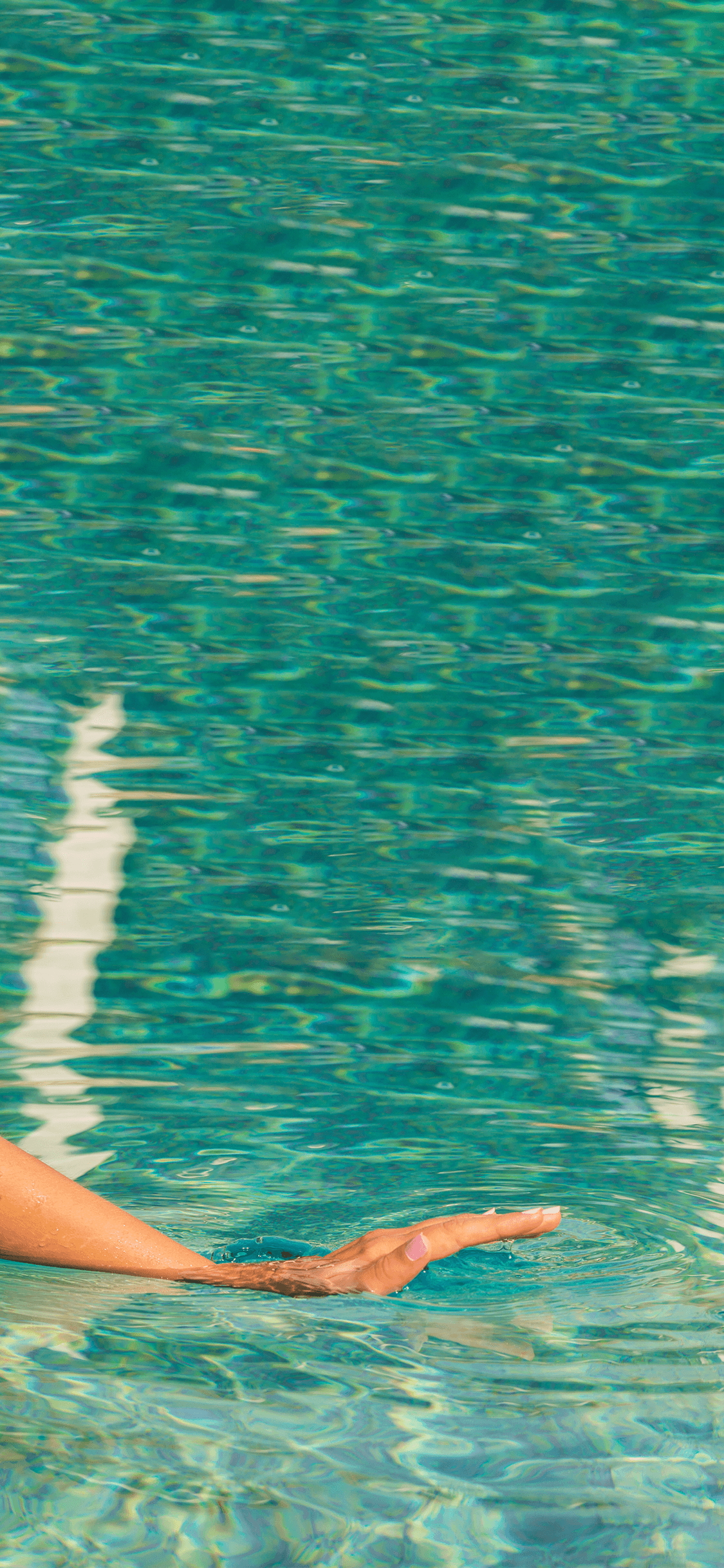 Banner 3